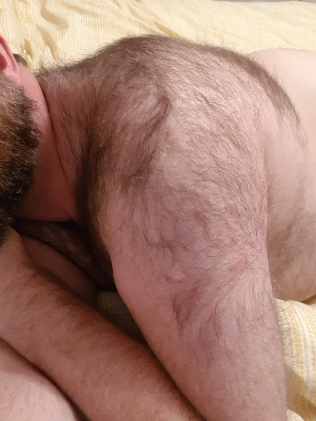 bigbottombarebackbear: