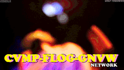 hoodbooger:  CVMP-FLOG-GNVW NETWORK: *looking for new members*