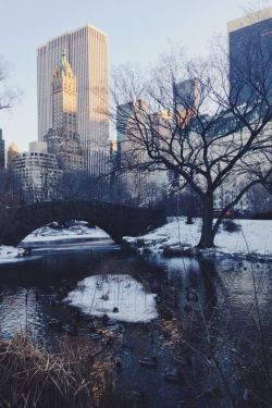 wolverxne:  The pond // Central Park | by: { Shaina Rose }