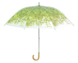 scarymath:  A poetic and artful umbrella, Komorebi is based on