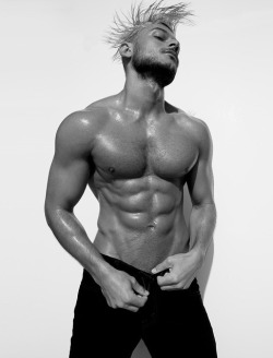 Adonis Files