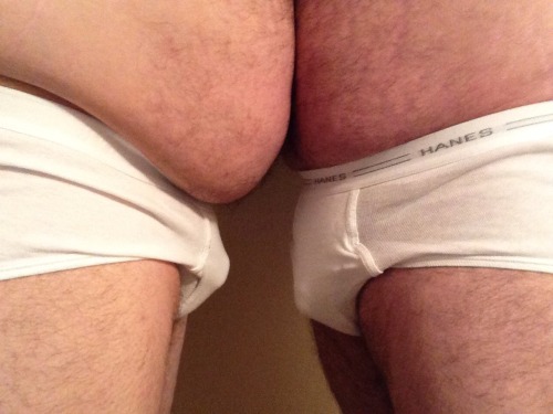 baterbear:  Got my boy to wear some Hanes briefs today.   Bear and cub in tighty whities. Woof