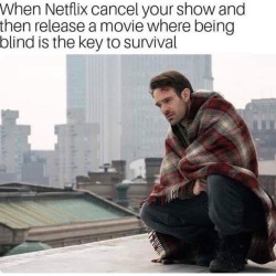 Lmao…bring back #daredevil..nice jab at #birdbox #netflix