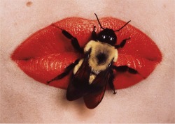 pikeys: Irving Penn - Bee On Lips, New York (1995) 