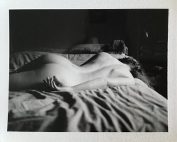 asmallwomanblog:  Polaroid by Sharan Shetty. Columbus. Spring