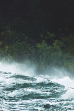 r2–d2:  Giant Wave Over the TreesBy Jaimie Wylie Photography