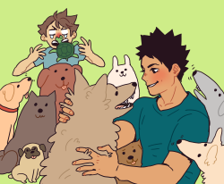 flunflun:  Iwa-chan week day 2:   animals / sleeping  