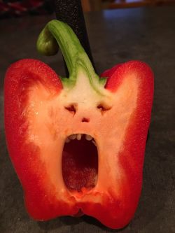lolfactory:  My pepper is ready for Halloween.  funny tumblr