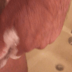 justcocks:  Rub a dub dub. All soapy 😈