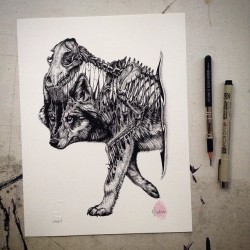 http://www.boredpanda.com/skeleton-animal-drawings-pen-pencil-paul-jackson/perceptionofadove