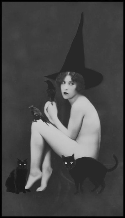 Modern photoshop of a vintage naughty postcard is no more realistic than one can expect, but….kitties!