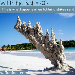 wtf-fun-factss:  What happens when lightning strikes sand - WTF