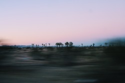 aubreylou22:Wish I could explore the desert for so long… California