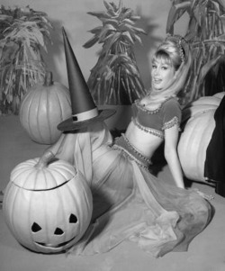 damsellover:  Bonus Halloween Pinup of the day….Barbara Eden…