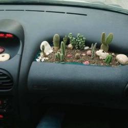 xeduo:  coolthingoftheday:  #indoorgardening  when ur airbags