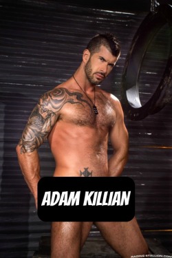 ADAM KILLIAN at RagingStallion - CLICK THIS TEXT to see the NSFW