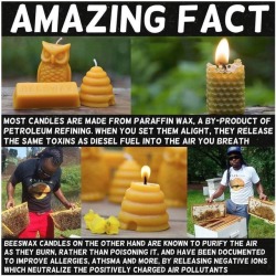 afuturewithbees:Bees wax also burns 6 - 8 times longer https://goo.gl/jFdQrd