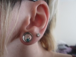 I don’t understand why fake plugs/tapers don’t get