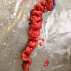 halloweencrafts:  DIY Homemade Intestines from Cassandra Gregg