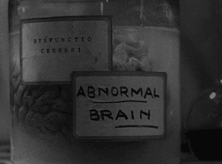 Abby Normal.