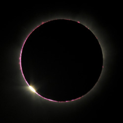 astronomicalwonders:  Solar chromosphere and diamond ring near