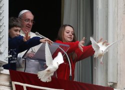 A dove released during an Angelus prayer conducted by Pope Francis,