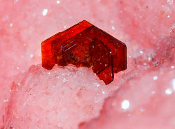 underthescopemin:  Rhodochrosite with Shigaite Aggregate of two