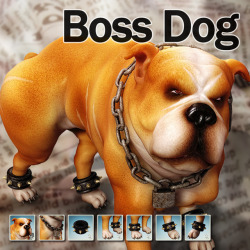 Not that you have Chocolates Bulldog, now you can toughen the