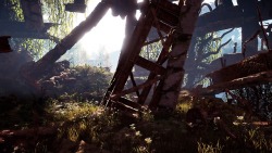 namelessentertainment:  Horizon Zero Dawn Scenery #6