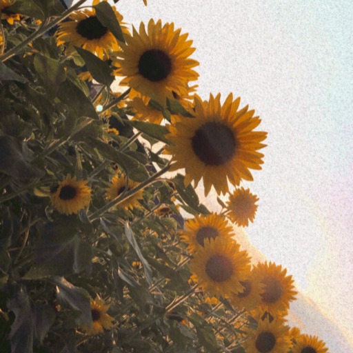 wannabeclosertoyou:  thealchemisticpoet:  Her eyes are brown