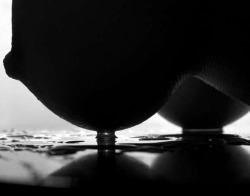 the-monochrome-id:surface tension  ⇉ the monochrome id: the