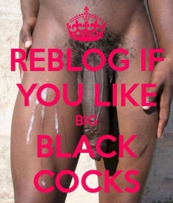 tum-bull-r: Reblog & Follow if you love Big Black Cocks!