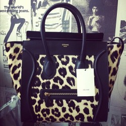 DREAM FASHION