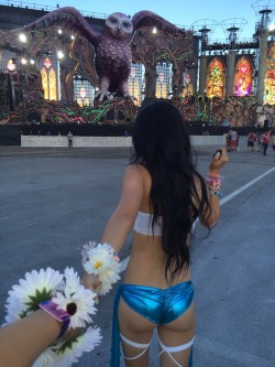 glitterbuggg:electric-sunflower:  EDC 2014💛💙💜💚❤️