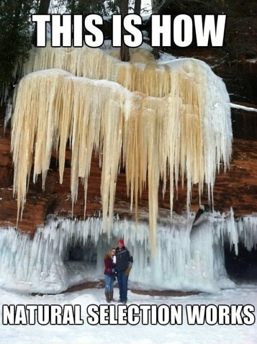 Never trust Mother Nature … she loves a good laugh