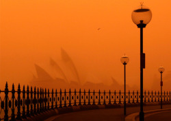 end0skeletal:   In 2009, an iron-rich dust storm 300 miles wide