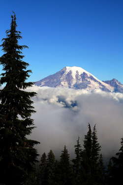 mikescofield:  Goat Rocks Wilderness, Washington. Despite the