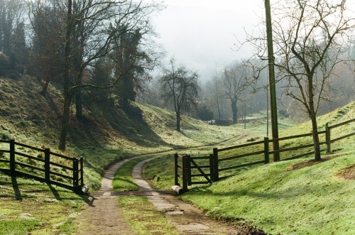 alifeingrain:Gloucestershire  - November 2020Pentax K1000 on