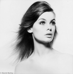 savetheflower-1967:  Jean Shrimpton - photo by David Bailey -