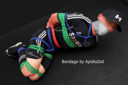 apollozed:  arrbee in colored ropes