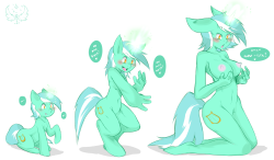 Transformation - Lyra