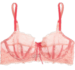 transparent-lingerie:  Elle Macpherson Intimates, “Dentelle”: bra