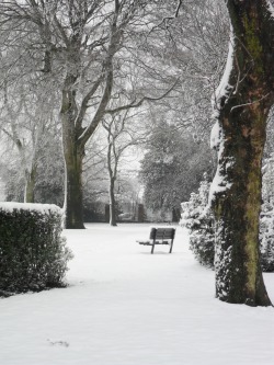 vwcampervan-aldridge:  Park bench in thick snow, Dartmouth