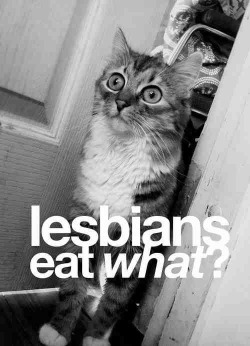 lilbearsinlove:  Lesbians eat what?!!! Lol xxx  Bondage and fetish