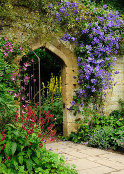 bonitavista:  Cotswold, England photo via hope 