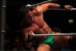 rwfan11:  Ted DiBiase Jr. - bulge 