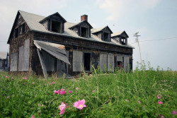 fuckyeahabandonedplaces:  An abandoned house by rcolonna on Flickr.Via