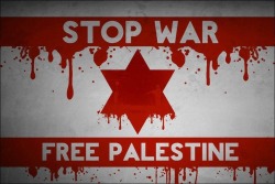 inspiredmuslimah:  FREE PALESTINE! 