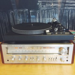 analogcollective:  Technics SL-1900 Direct Drive turntable and