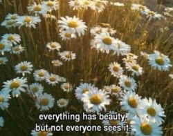 wanderlust
